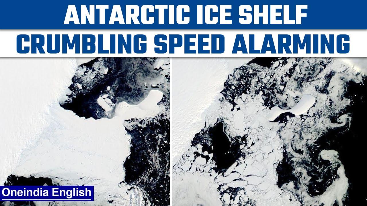 Antarctic ice shelf crumbling rapidly, shows NASA satellite imagery | OneIndia News *News