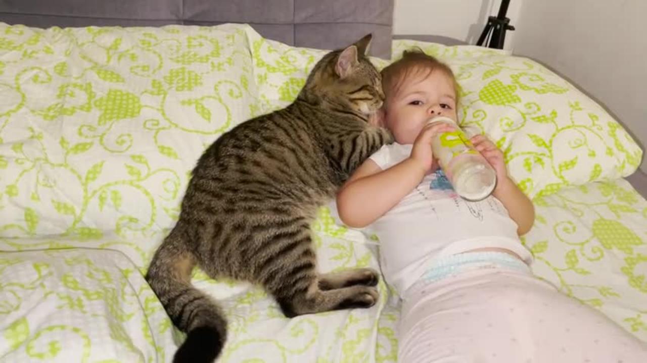 Morning_Routine_of_Baby_and_Funny_Cats