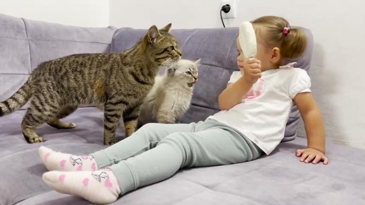 Baby_Shares_Ice_Cream_With_Cats