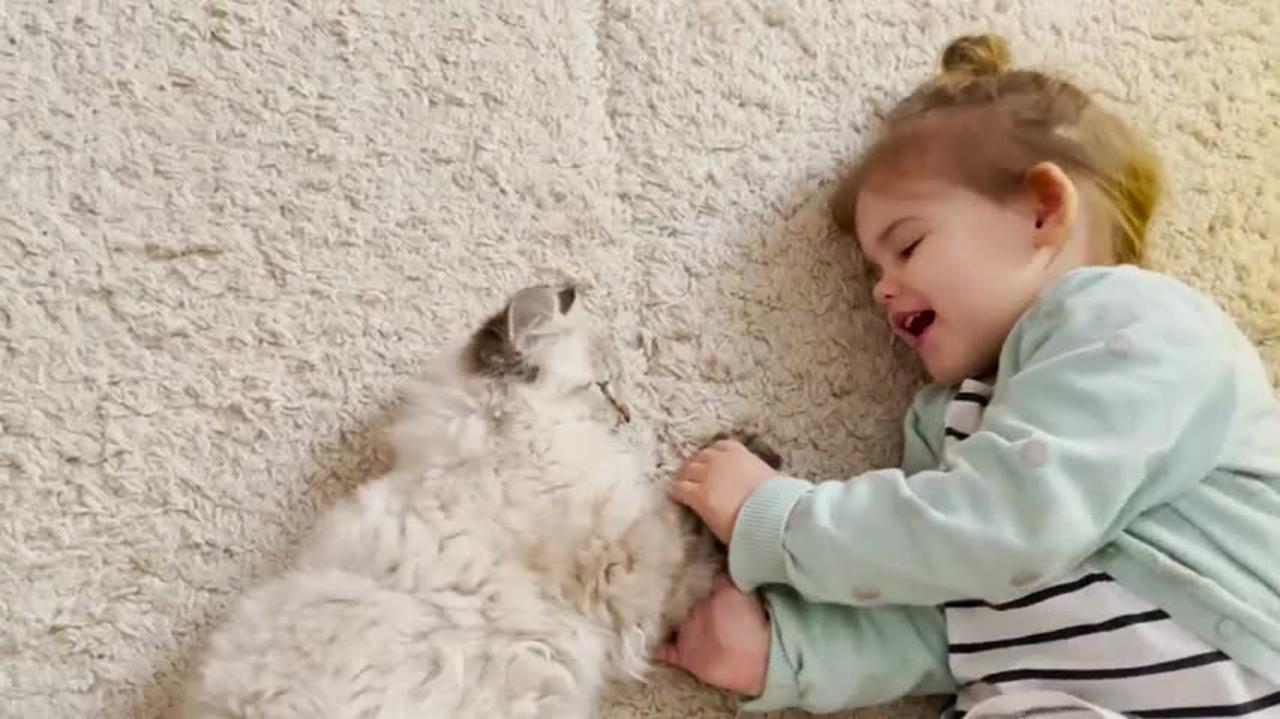 How_a_Cute_Baby_and_a_Kitten_Became_Best_Friends_Compilation