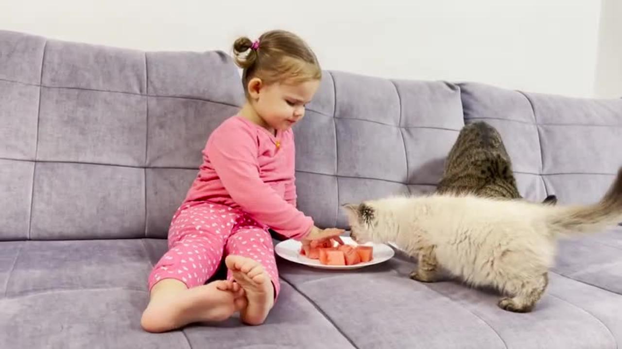 Cute_Baby_Teaches_Cats_to_Eat_Watermelon