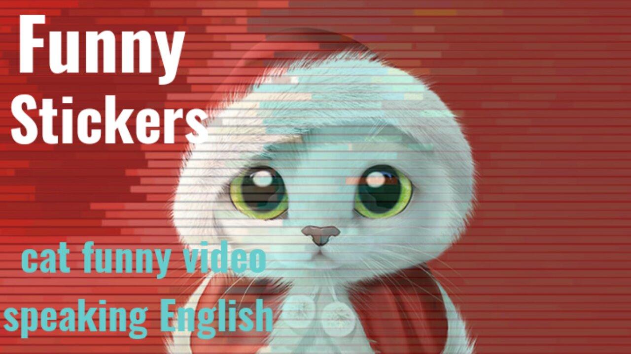 Cat funny video Cats talking... cats can speak english better than hooman