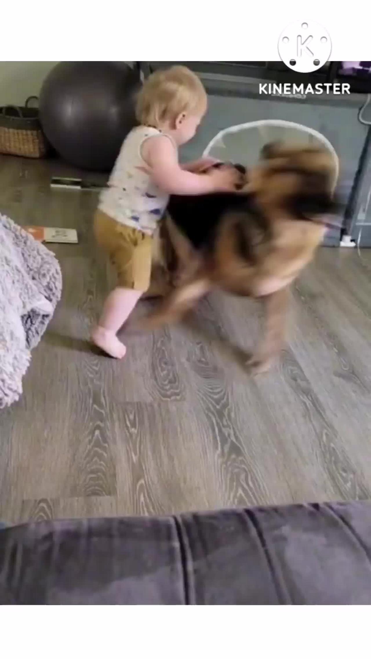 Funny baby playing with dog!
