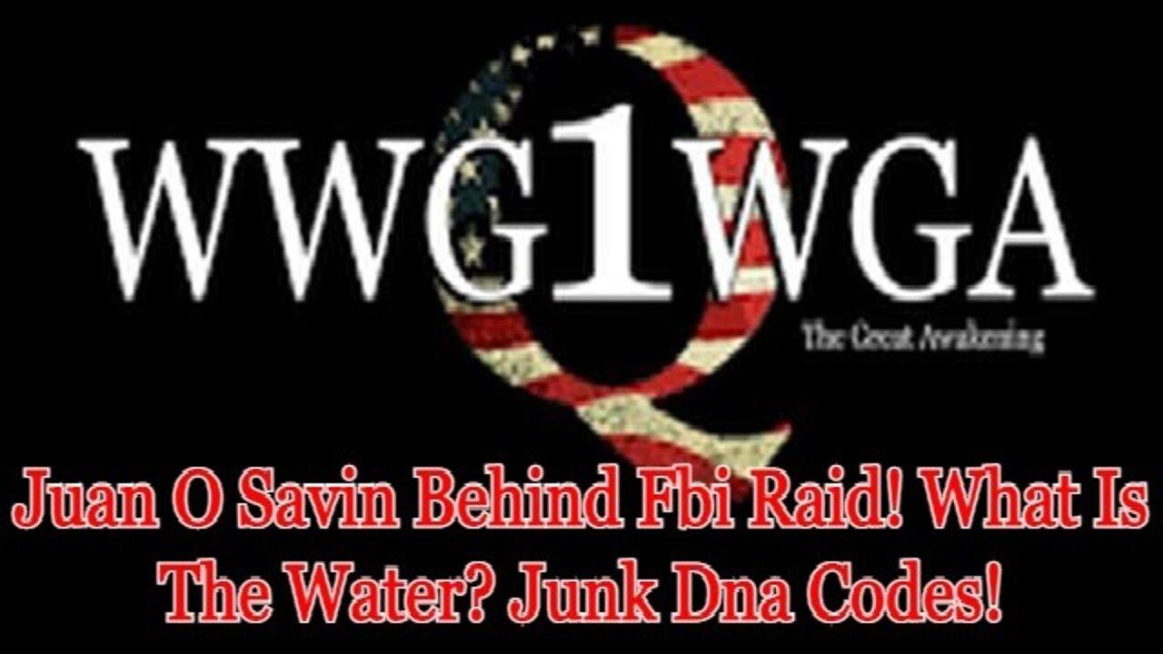 Q ~ Juan O Savin Behind Fbi Raid! What Is The Water? Junk Dna Codes!