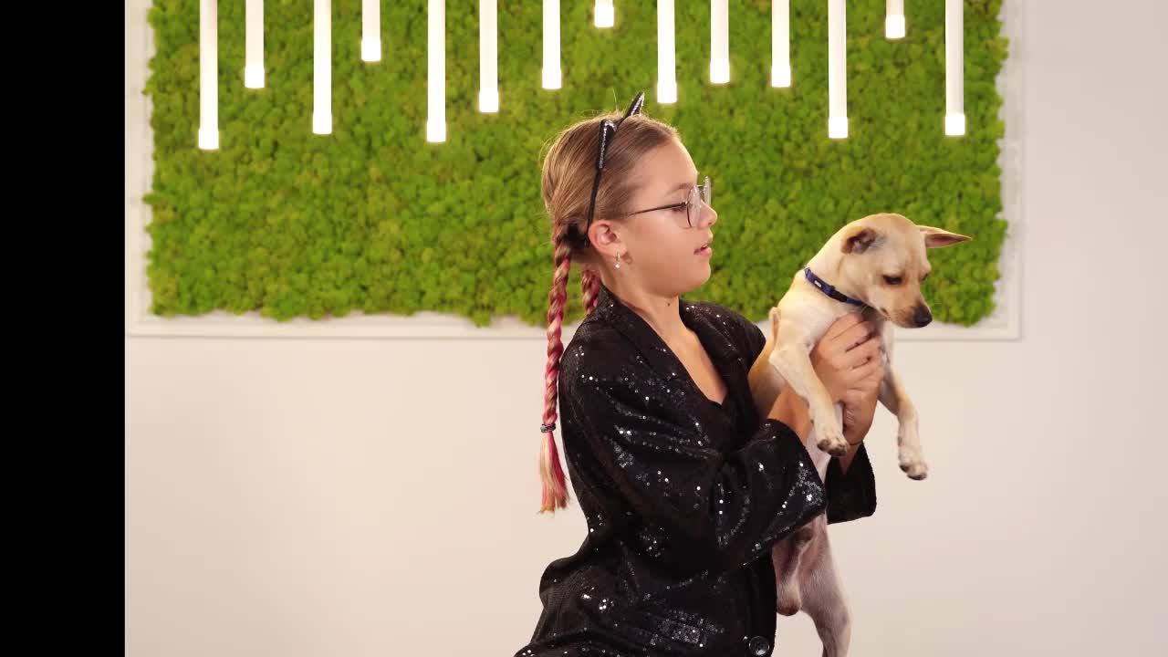 Funniest & Cutest Labrador Puppies # - Funny Puppy Videos 2020