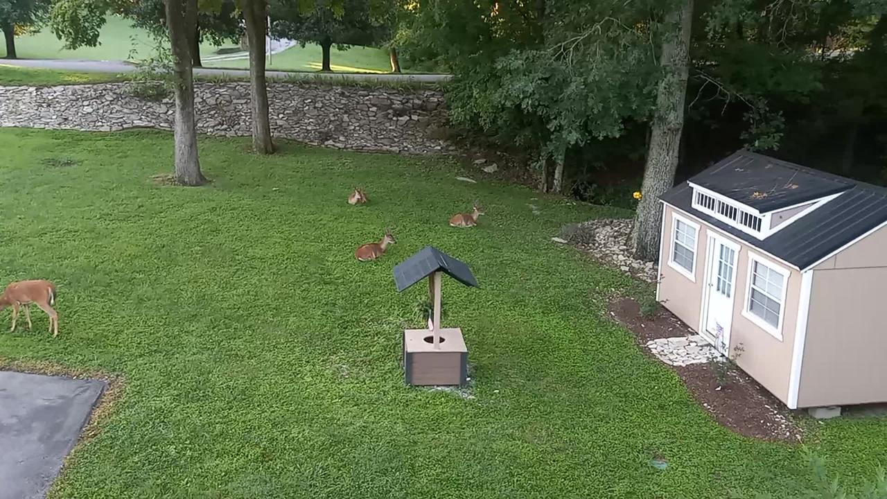 Todd Malone records the bucks chillin'