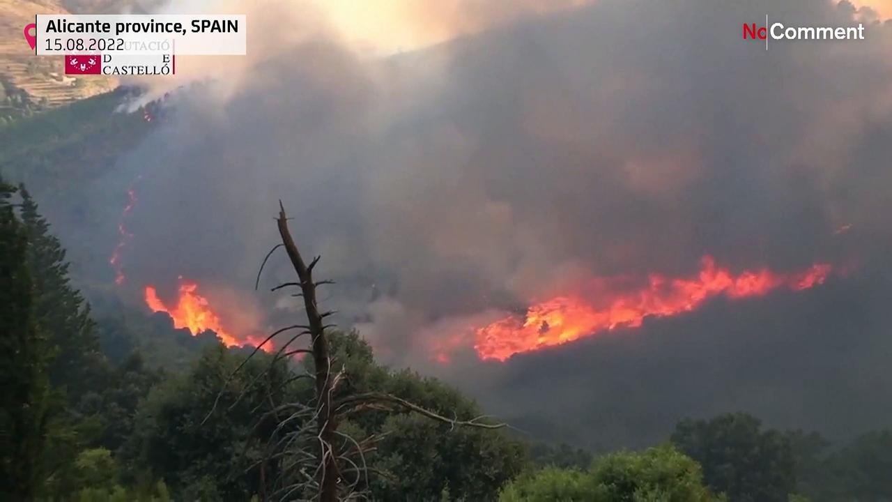 Spanish firefighters battle10,000 hectares blaze