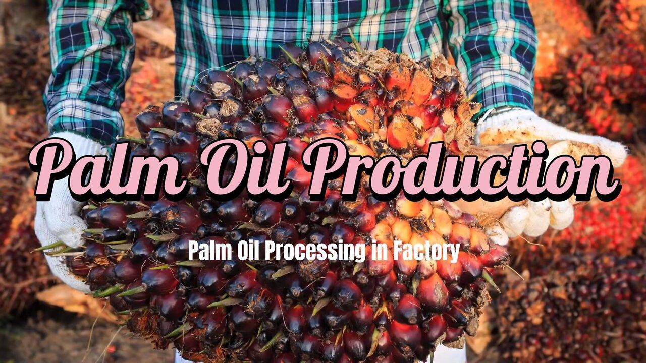 Amazing Oil Palm Fruit Harvesting Machine