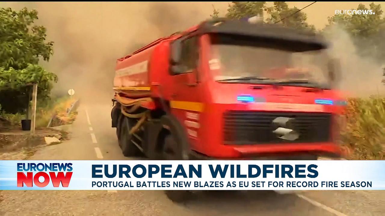Smell of Portugal's forest fires reaches Madrid 300 kilometres away