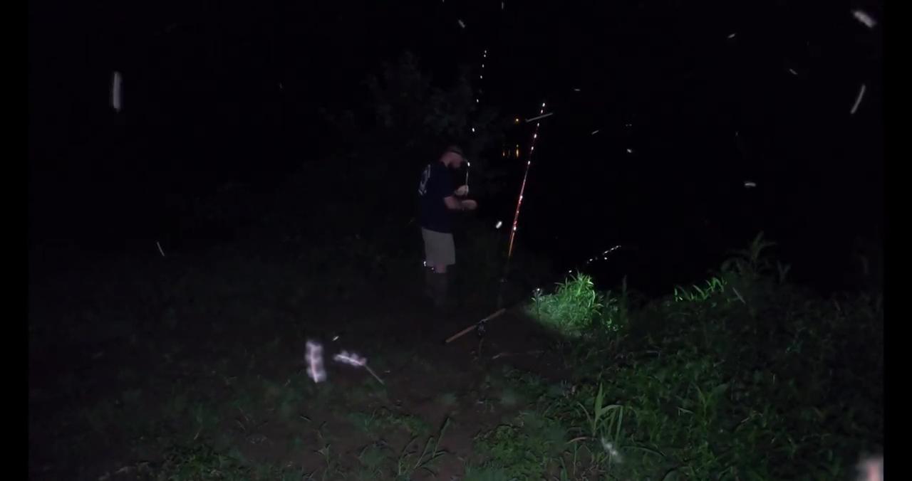 VIEW "TWO FLATHEADS, ONE NIGHT! SURPRISE! JAMES RIVER CATFISHING-9"