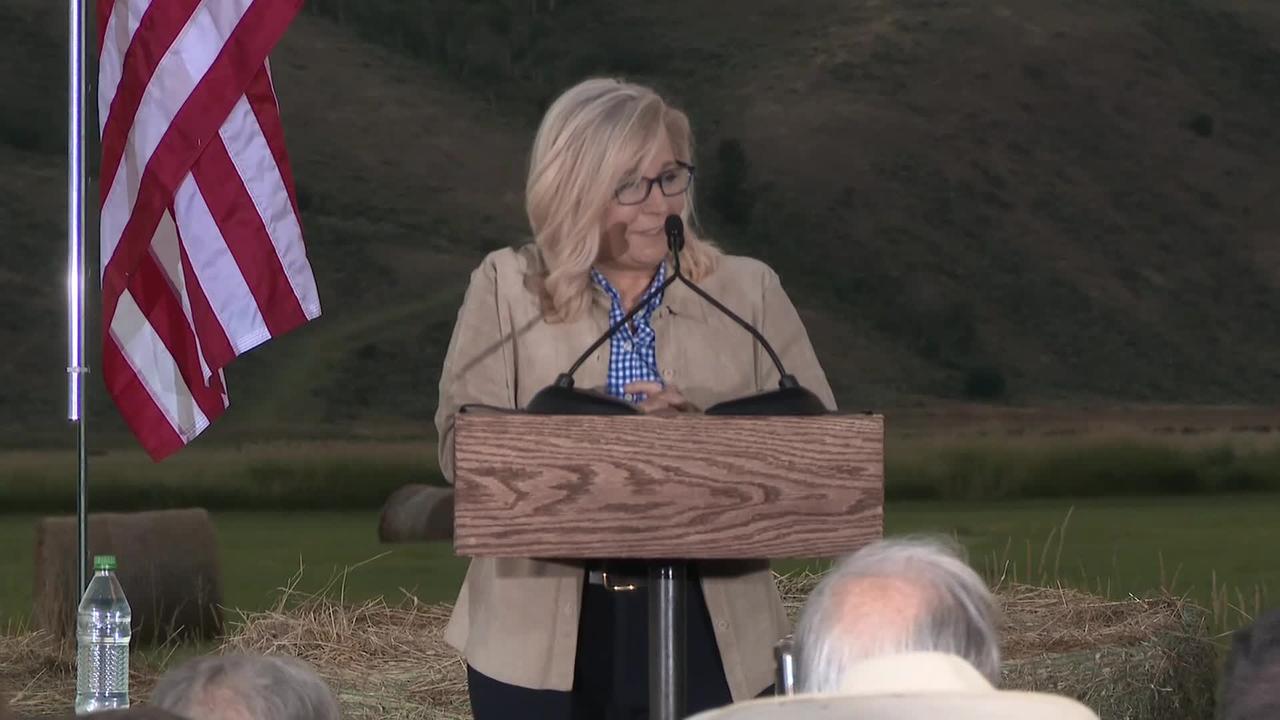 Wyoming: Liz Cheney Loses Primary to Harriet Hageman