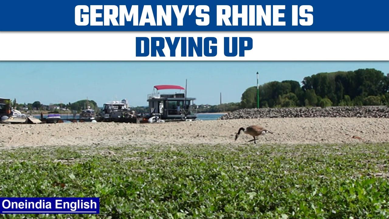 Drought disrupts river traffic on Germany's Rhine | Oneindia News *News