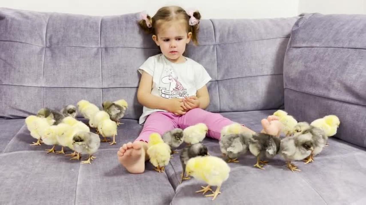 Baby_Chickens_Think_That_Baby_Girl_is_Their_Mom