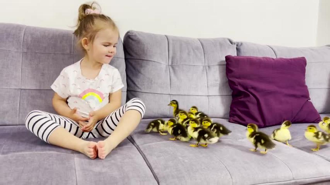 Funny_Baby_Girl_Reaction_to_Ducklings_Drinking_Water