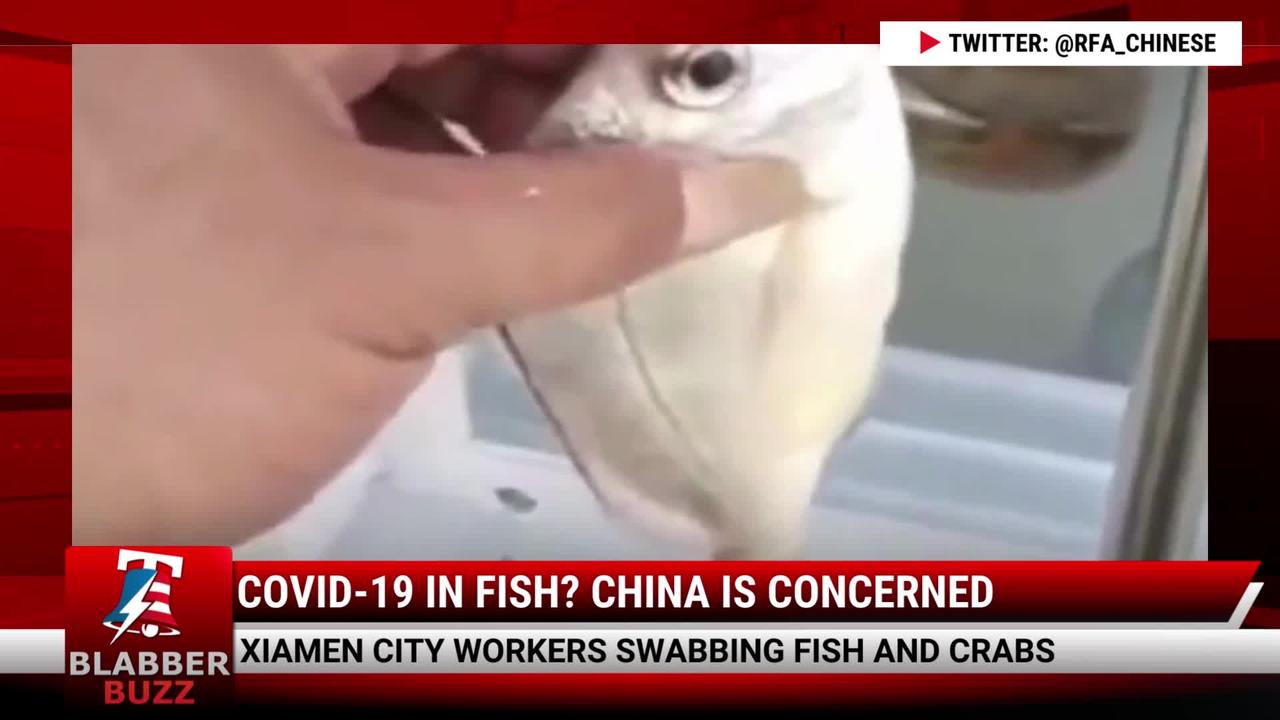 COVID-19 In Fish? China Is Concerned