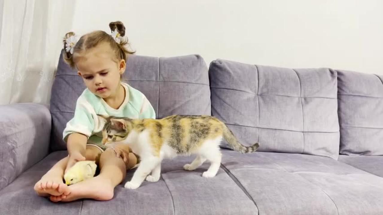 Cute_Baby_Girl_Trying_to_Make_Friends_a_Kitten_With_a_Baby_Chick