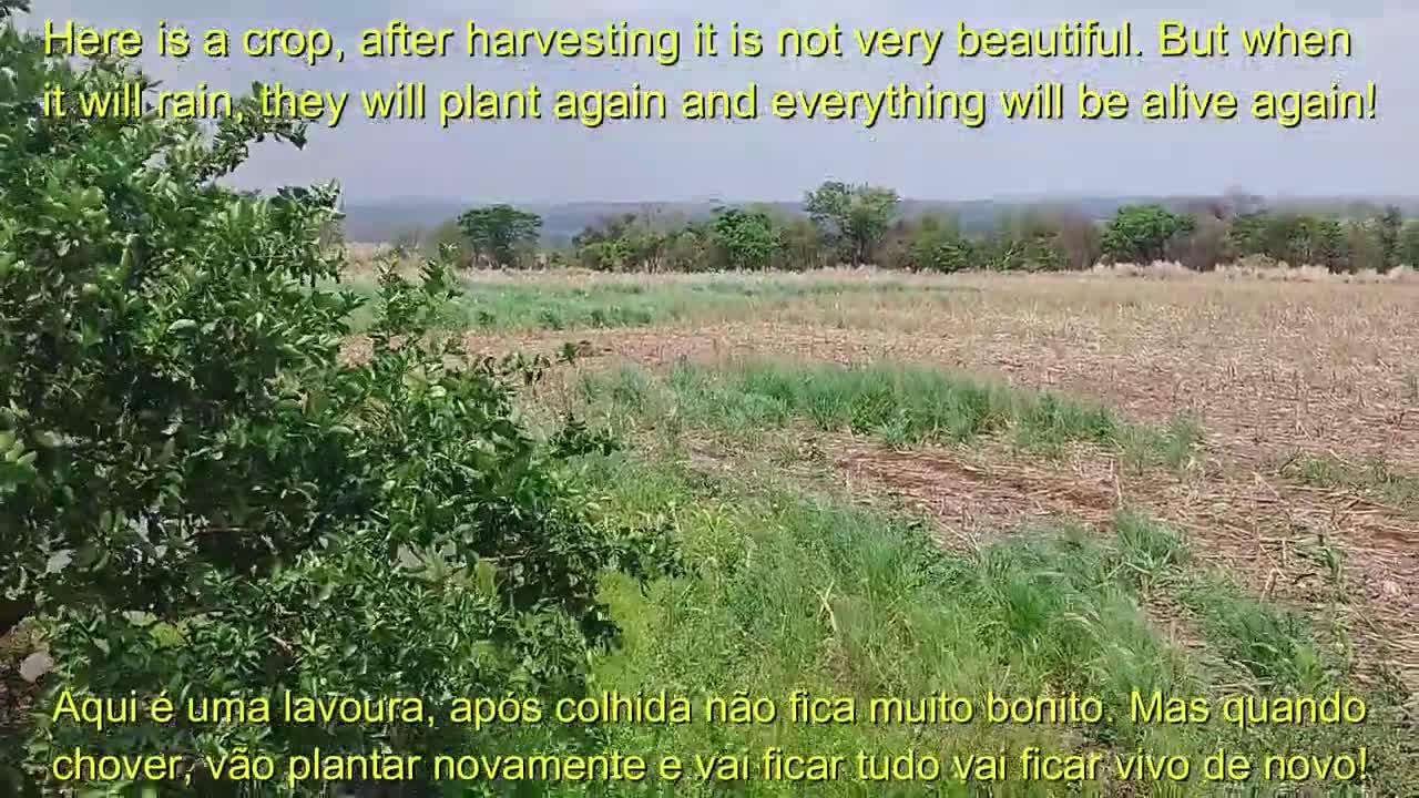 Como é uma fazenda em Goiás, Parte 2 / How is a farm in Goiás, Part 2