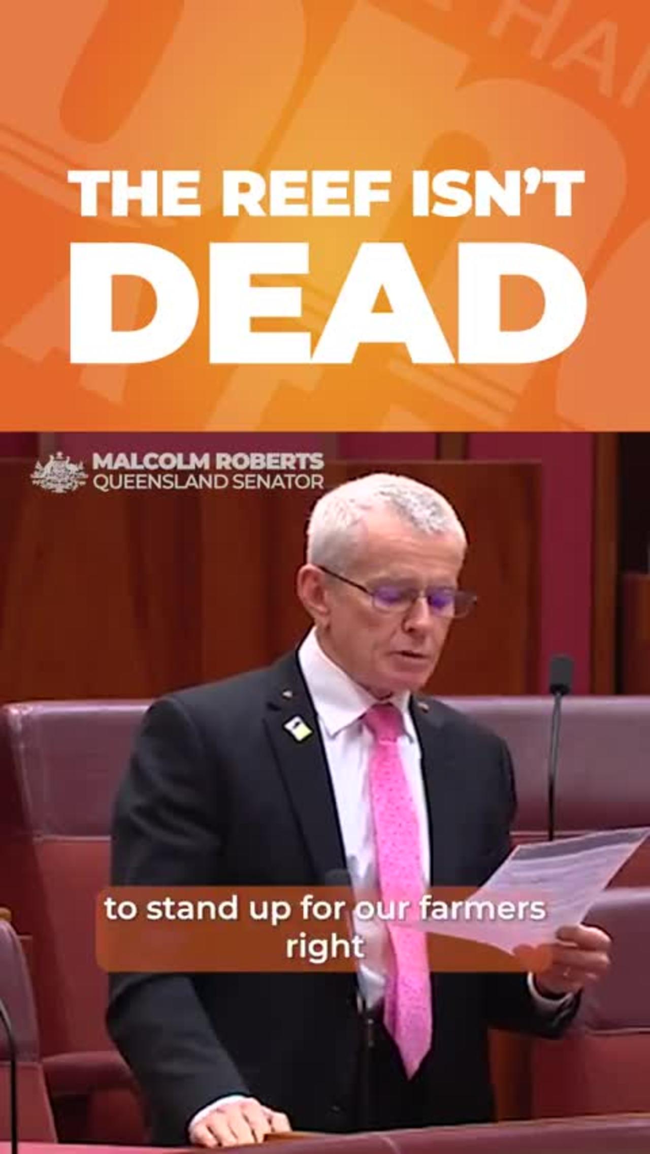 Queensland senator Malcolm Roberts Re: Reef isn't dying!
