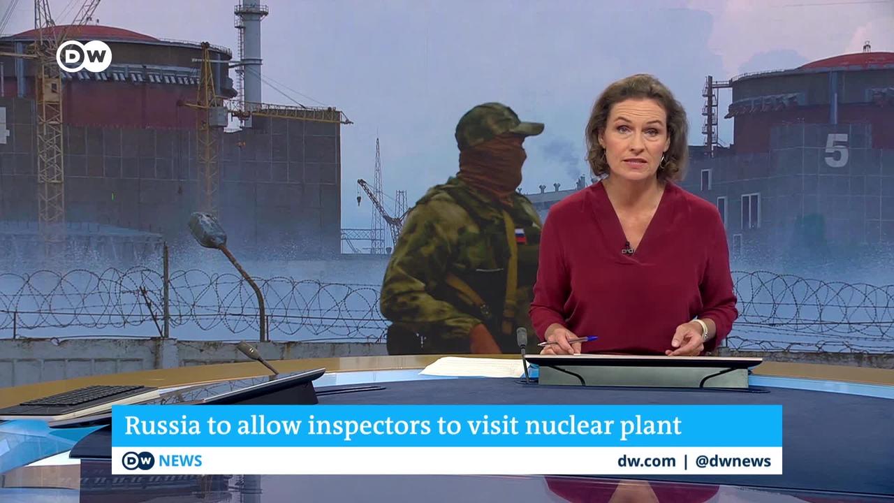 Russia to allow inspectors to visit Ukraine nuclear plant