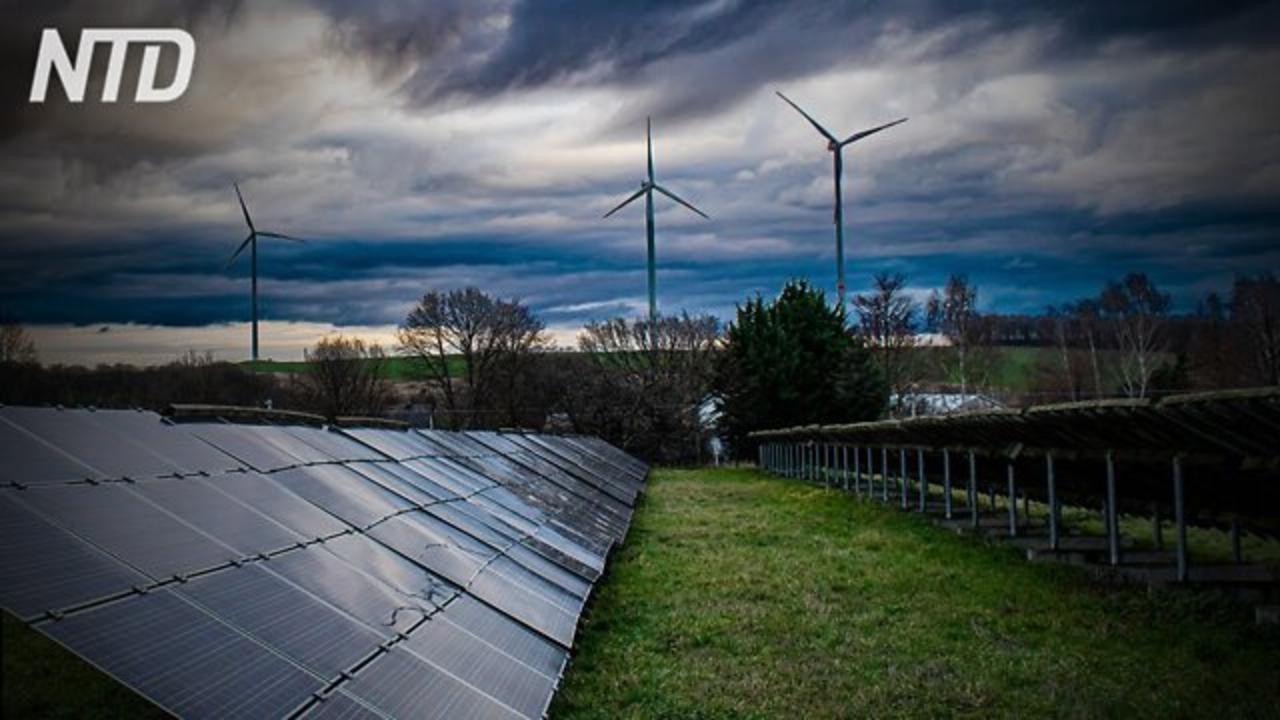 Energie rinnovabili, tutto quello che la propaganda green non vi dice