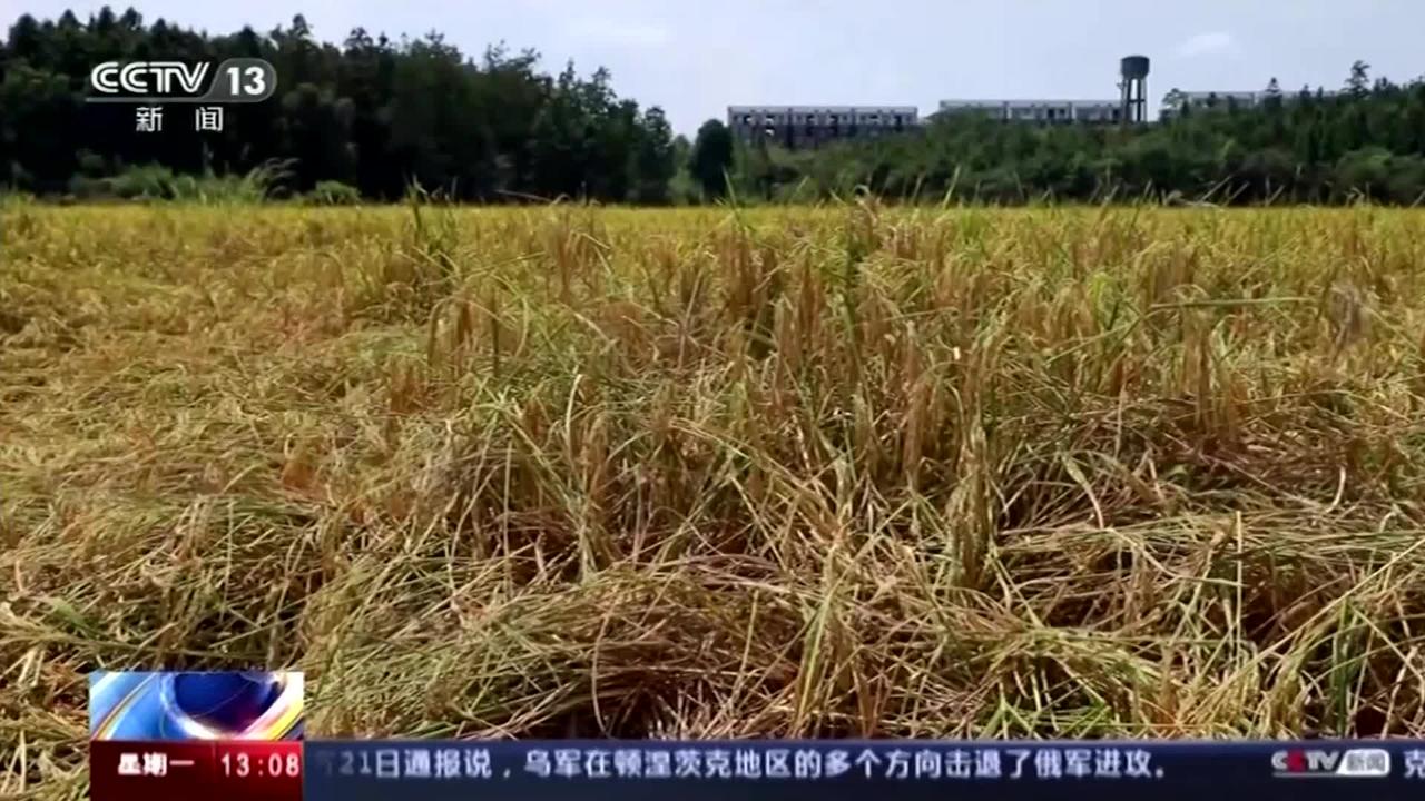 Persisting drought and heatwave in China
