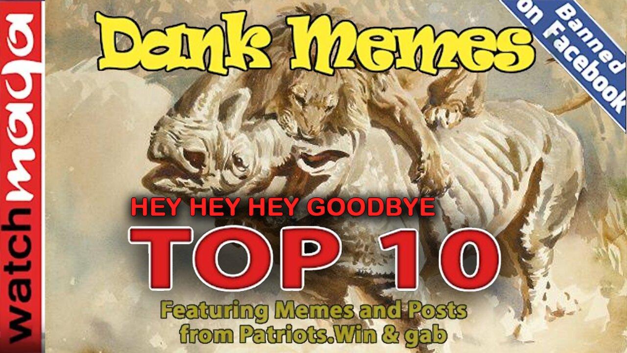 Hey Hey Hey Goodbye: TOP 10 MEMES