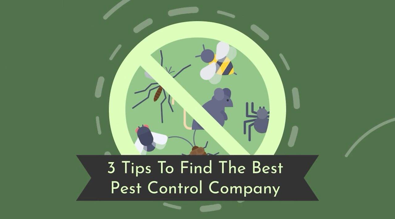 3 Tips To Find The Best Pest Control Company