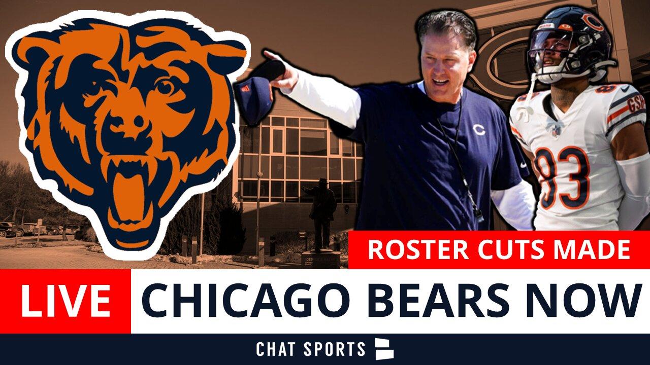 Chicago Bears LIVE: Bears Make 5 Roster Cuts Including Dazz Newsome