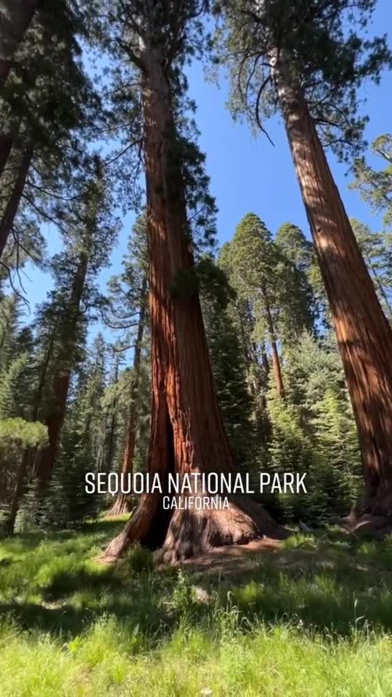 Sequoia National Park is a super cool yet underrated National Park in California