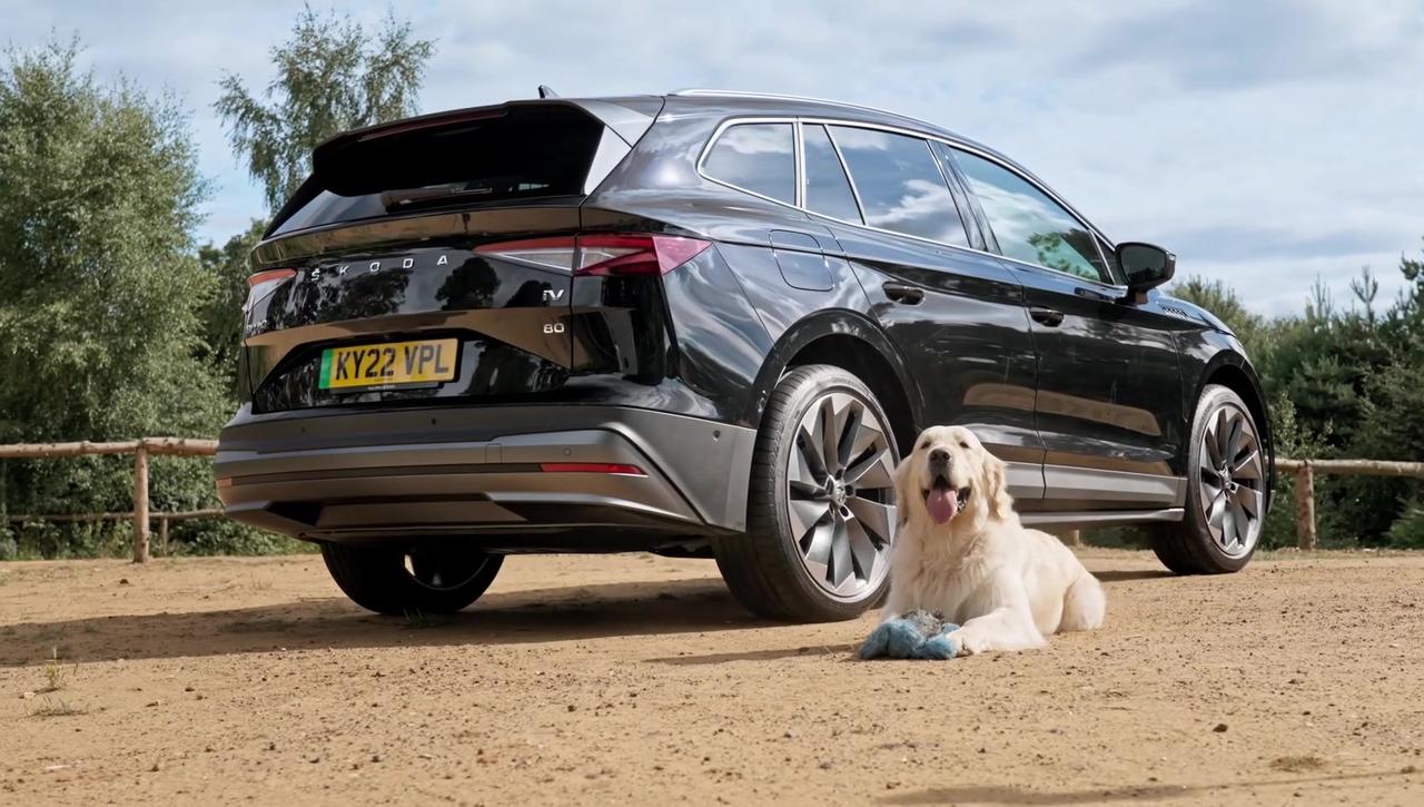 Skoda talks about safest and most responsible way to transport beloved hounds