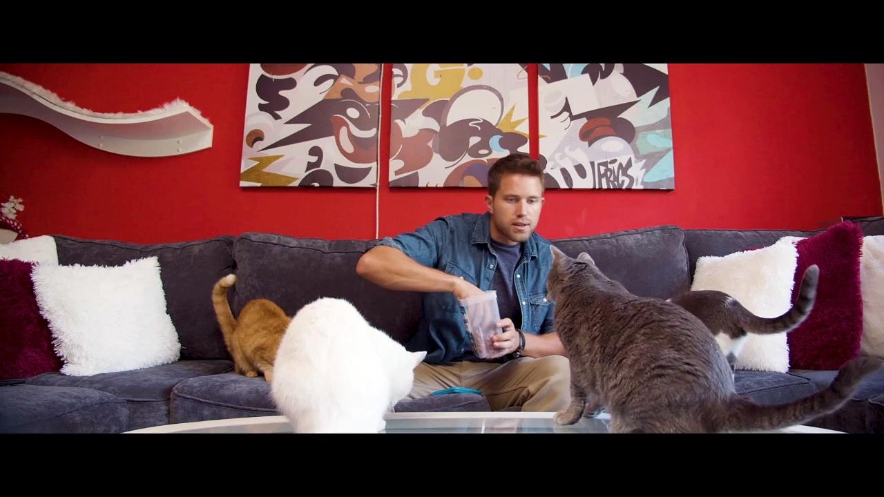Cat Daddies Documentary Movie