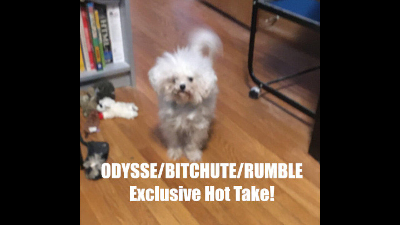 Rumble/Odysee/Bitchute Exclusive Hot Take: August 26th 2022 News Blast!
