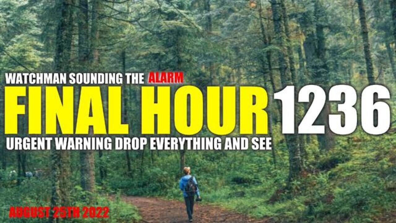 Final Hour 1236: Urgent Warning!! Drop Everything and See - Watchman Sounding the Alarm