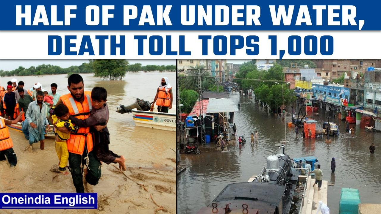 Pakistan Floods: Half of the country under water, death toll tops 1,000 |Oneindia news*International