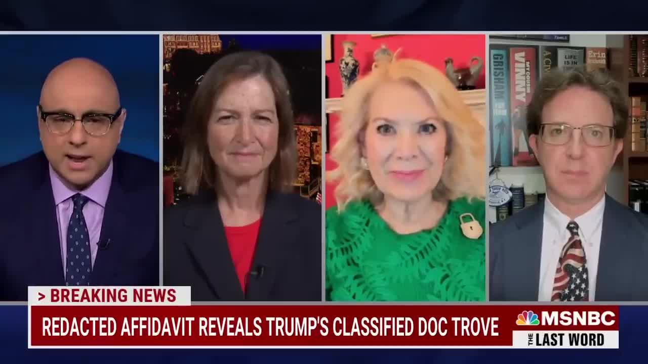 Trump Classified Doc Trove ‘More Likely’ To Mean Prosecution McQuade Says