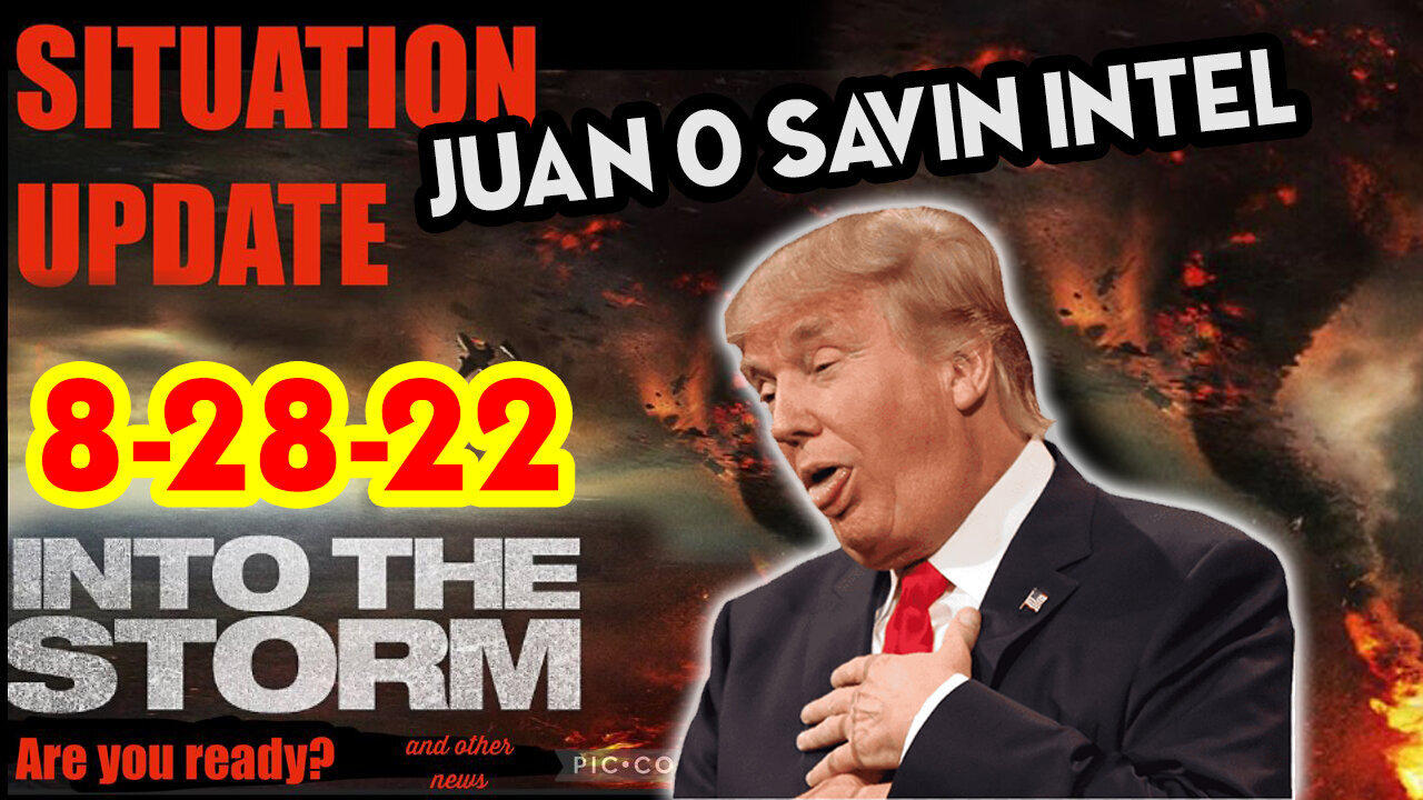 Situation Update 8/28/22 ~ Trump Return - Juan O Savin Decode - White Hat Intel