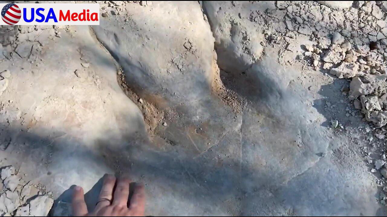 New 113 Million Year Old Dinosaur Footprints Found After Severe Droughts In Texas - USA Media