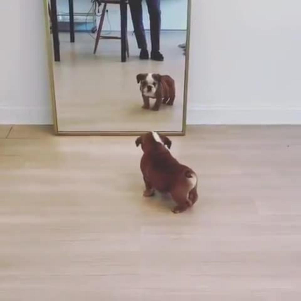 First look in the mirror