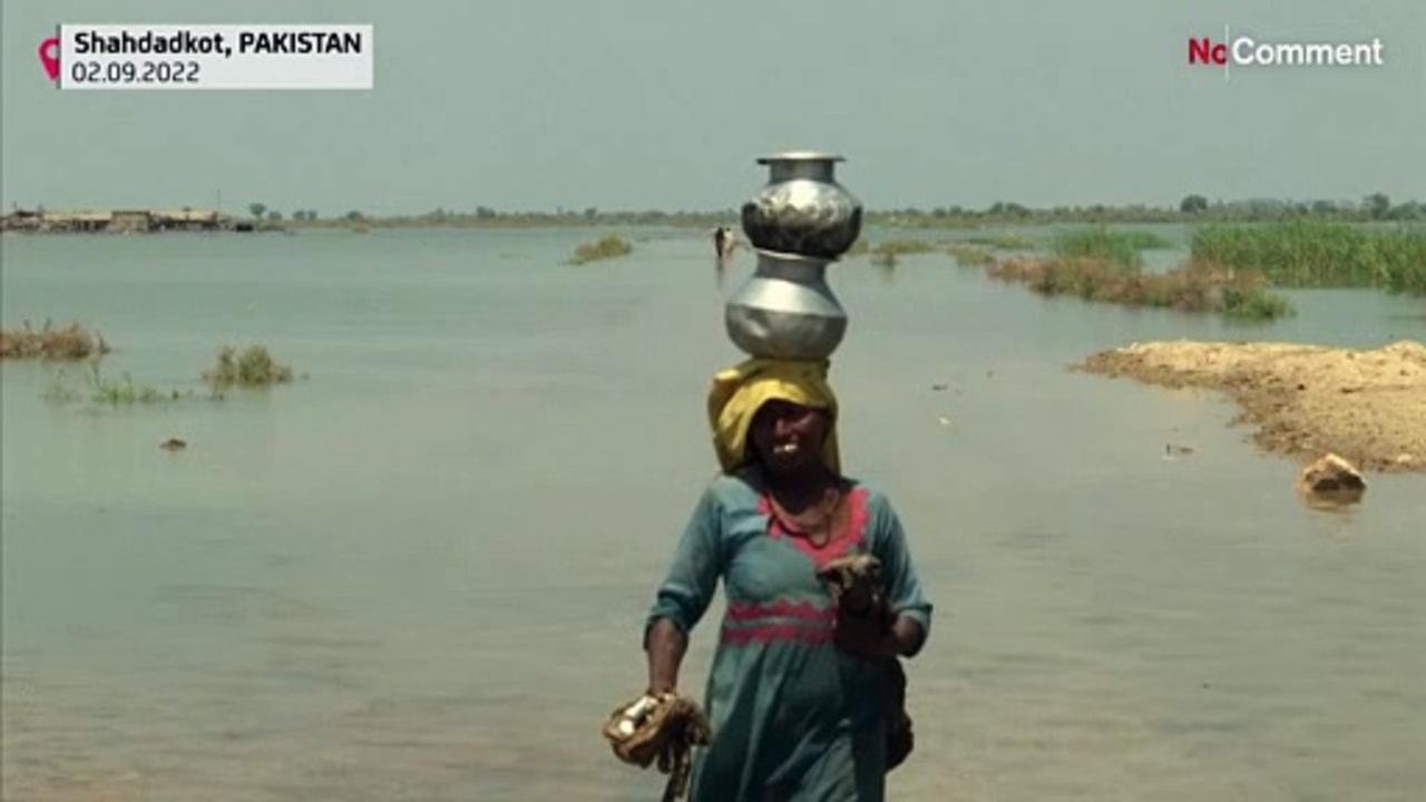 Pakistan floods death toll surges past 1,200