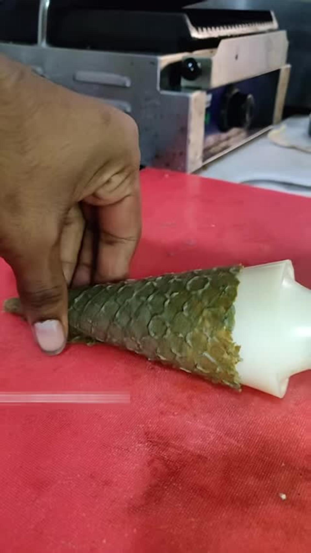 Charcoal Ice Cream in Delhi -- Janakpuri Food