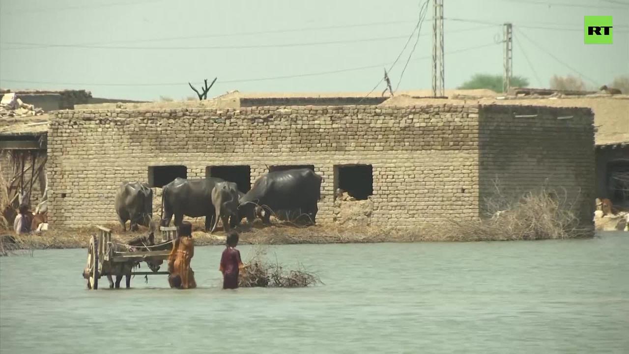 Pakistanis warned of more floods, forced to move