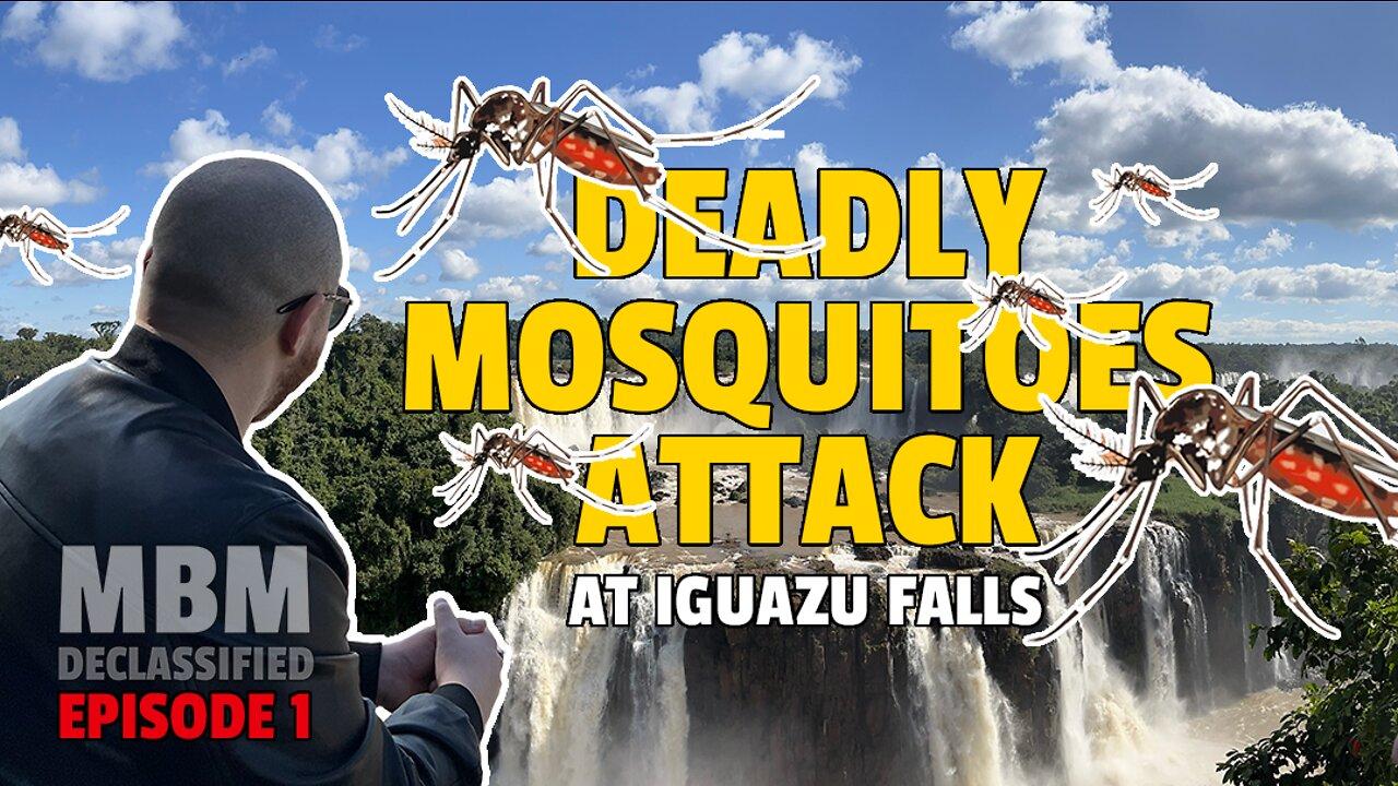 Traveling to the Capital City of Mosquitoes at Iguazu Falls