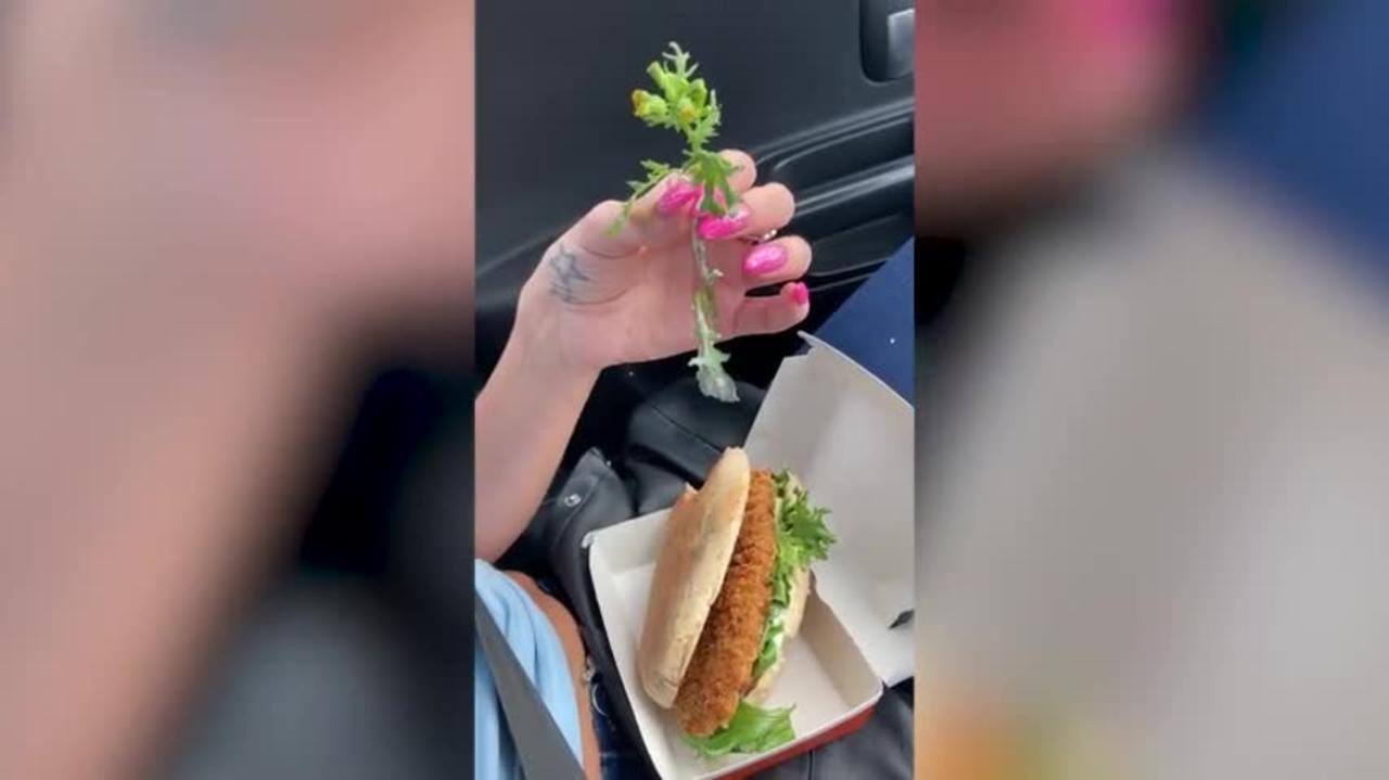 Couple Find Flower In McDonald’s Chicken Legend Sandwich - USA Media