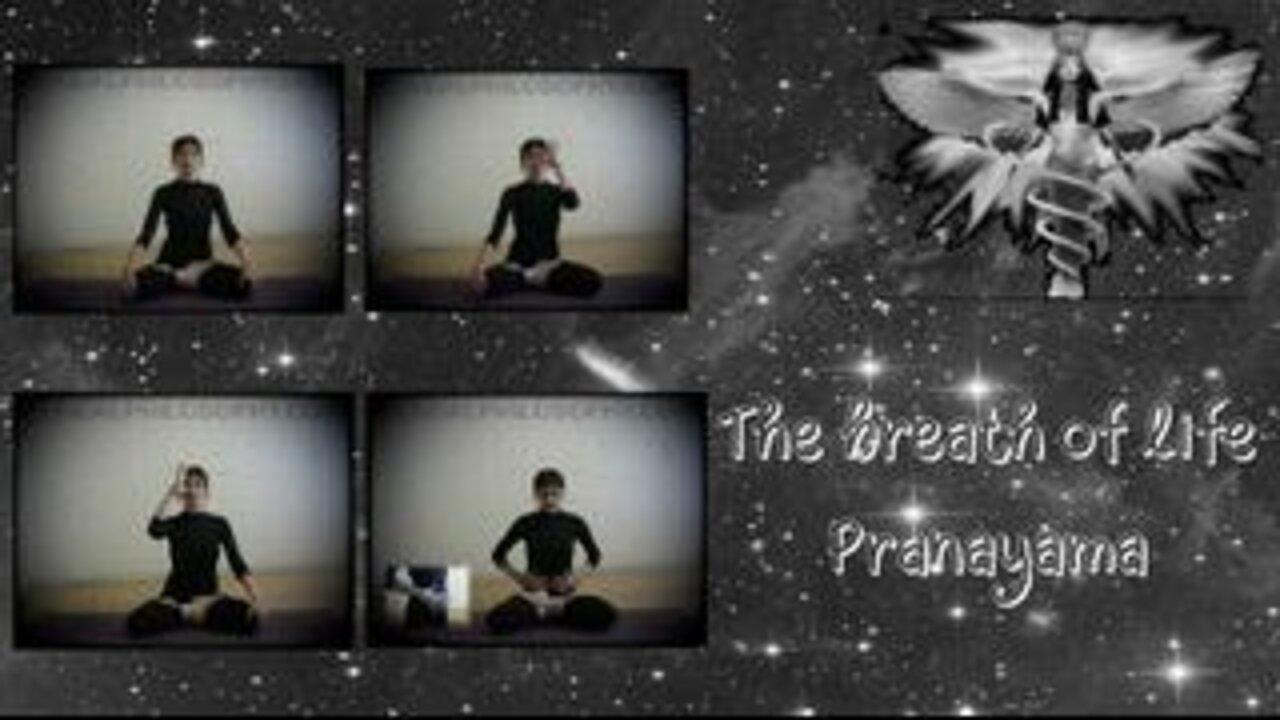 ♾︎ The breath of life - Pranayama ♾︎