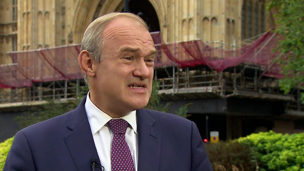 Lib Dems call for early general election