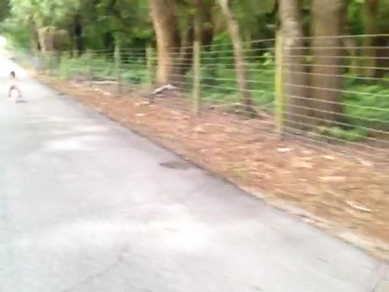 Joanna Mann on a bike ride with Jazmin Mann