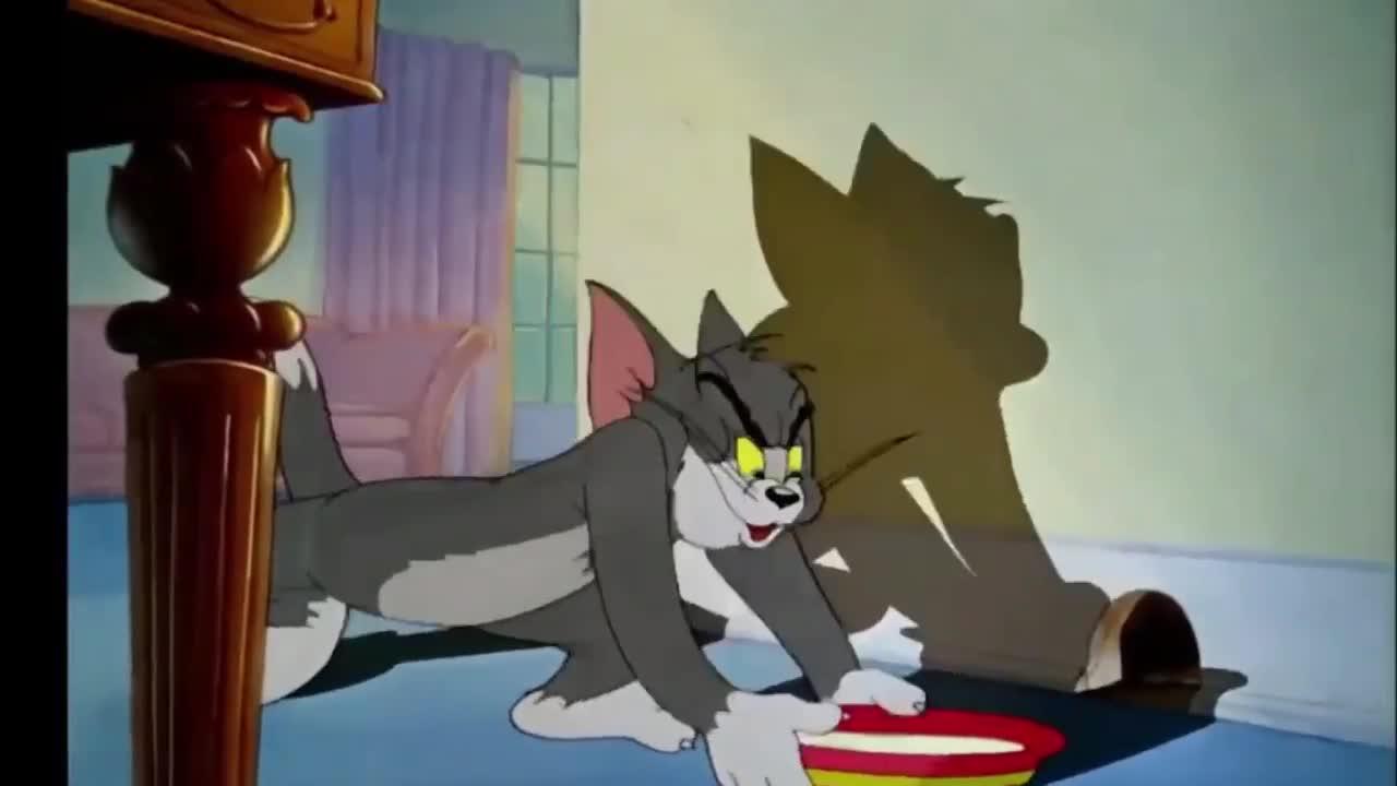 Tom and Jerry | Tom and Jerry New episode | cartoon | Tom and Jerry Funny video