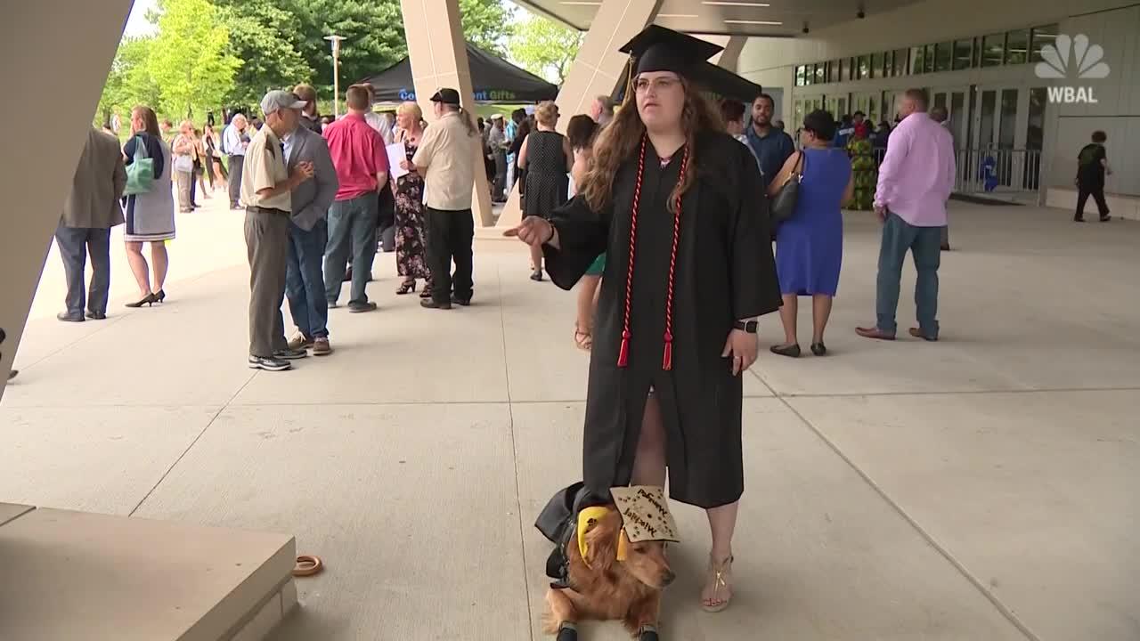 Service Dog Graduates College With Owner