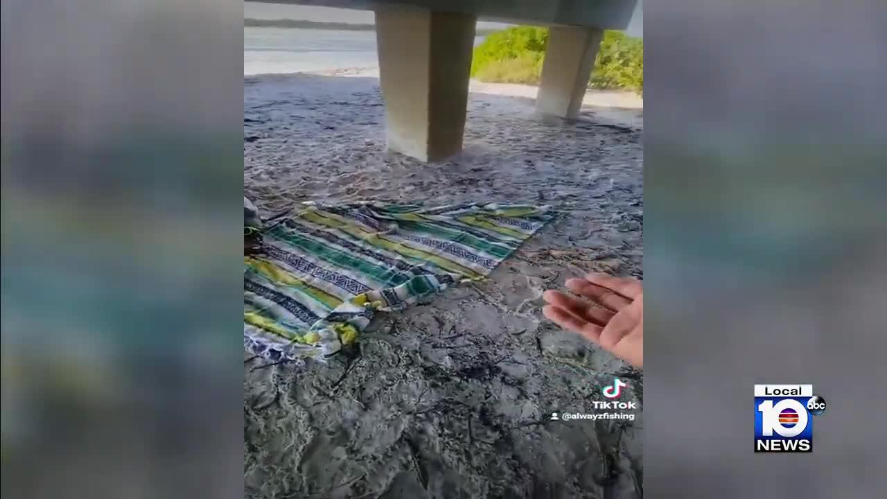 Fisherman makes shocking discovery on Florida beach