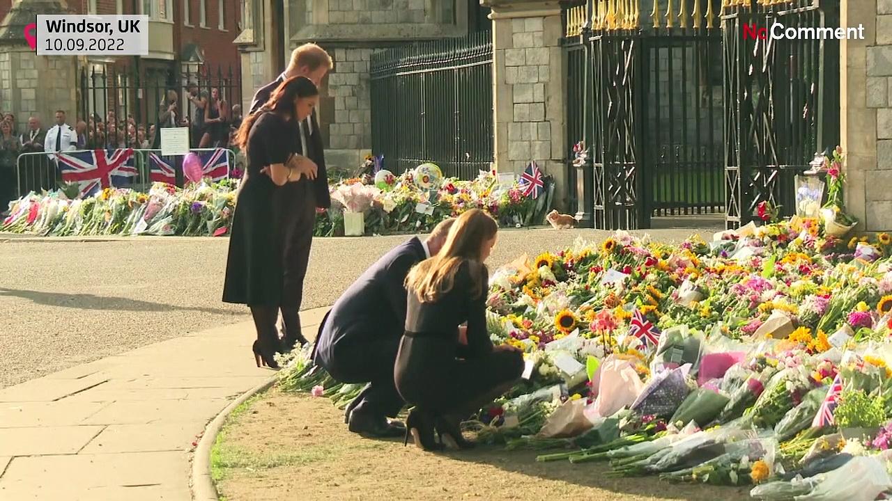 Prince Harry joins William to see Windsor tributes